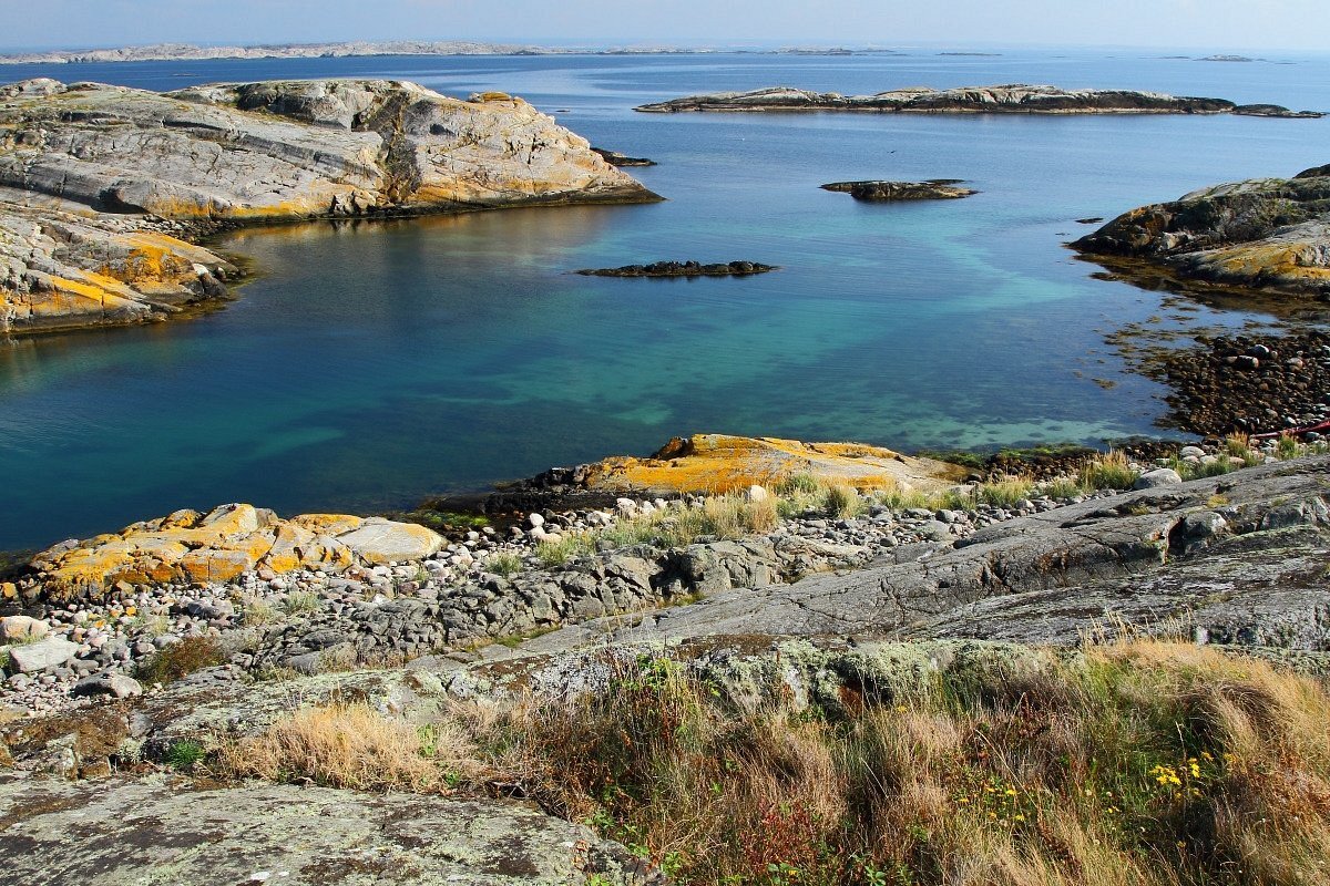 Using Deep Learning to Unlock Decades of Marine Biodiversity Data and plan marine ecosystem management