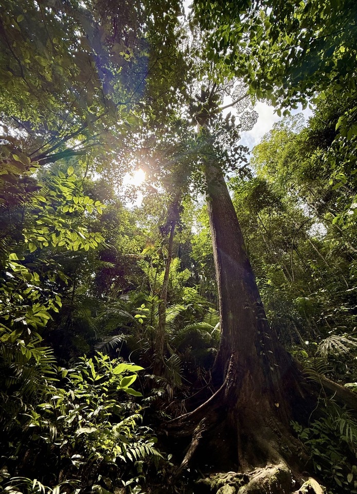 Work With Leading Editors, Gain Hands-On Experience – Apply Now as an Early Career Editor