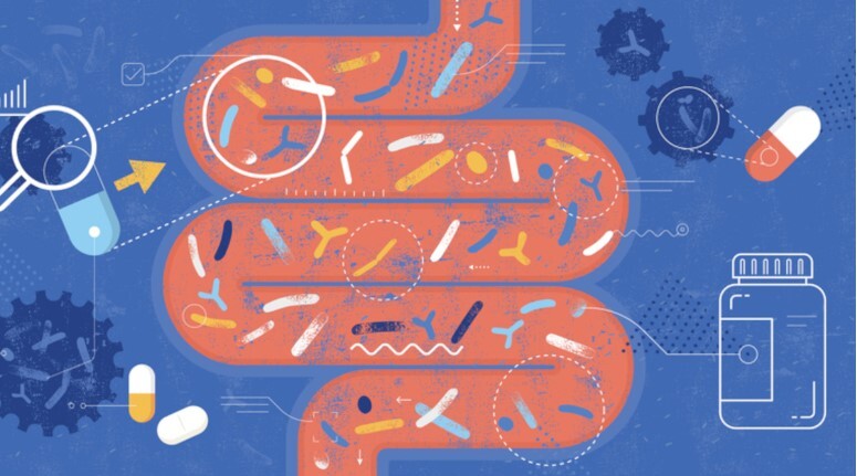 Call for papers: Microbiome-based therapeutics