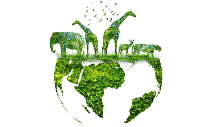 Call for papers: Environmental DNA as biosignatures