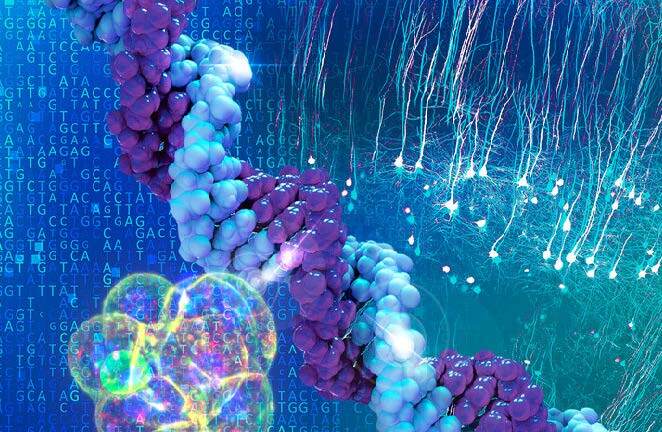 Join EMBL Train-the-Trainer : Epigenetics Explained