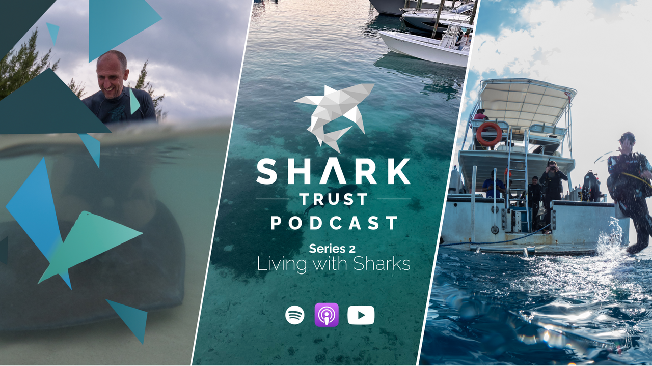 Shark Trust Podcast Series 2 - You ask the questions!