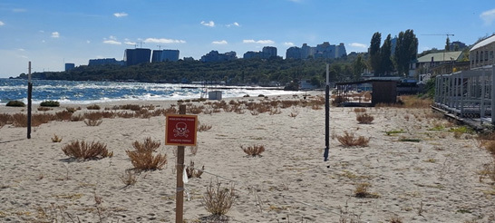 Ecological Damage of the War in Ukraine