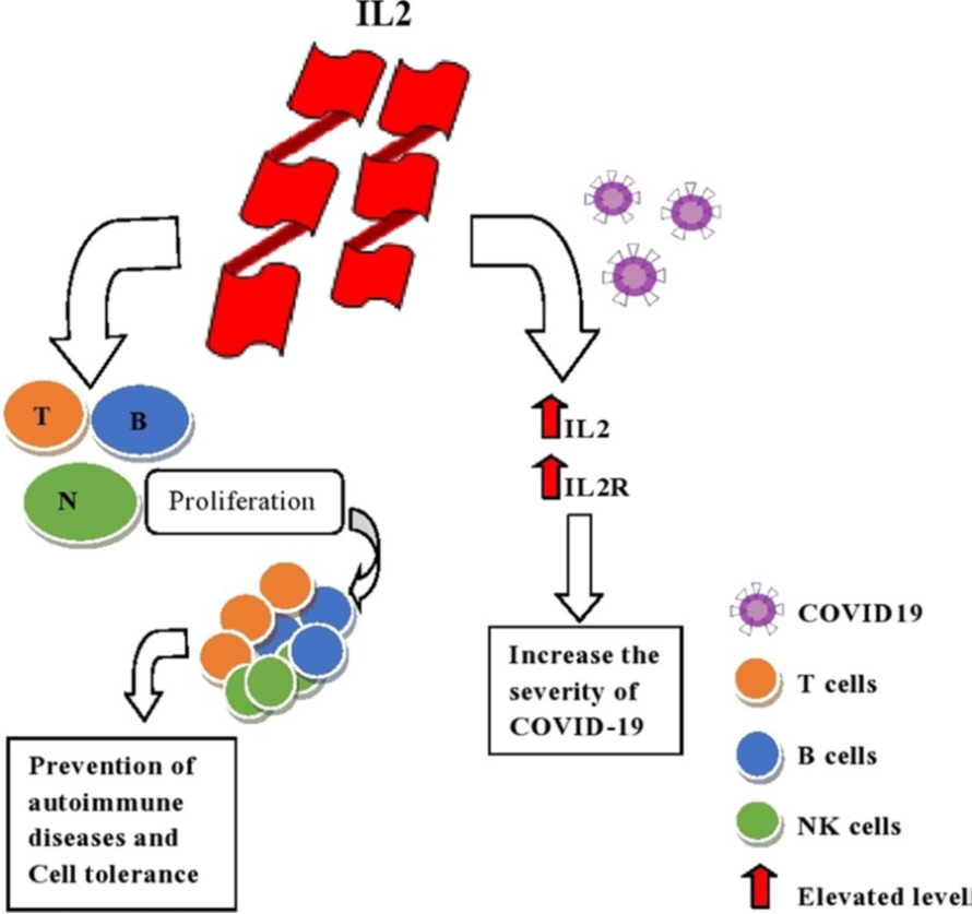 Identification of selected genes associated with the SARS-CoV-2: a therapeutic approach and disease severity