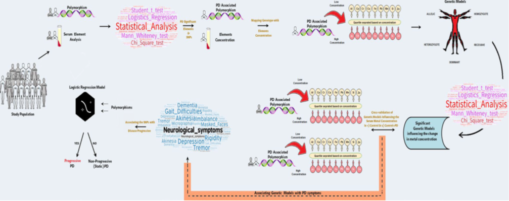 PARK2 and PARK7 Gene Polymorphisms as Risk Factors Associated with Serum Element Concentrations and Clinical Symptoms of Parkinson’s Disease