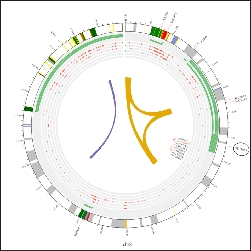 Meta‑analysis of TCF7L2 and SLC30A8 gene polymorphisms concerning type 2 diabetes risk