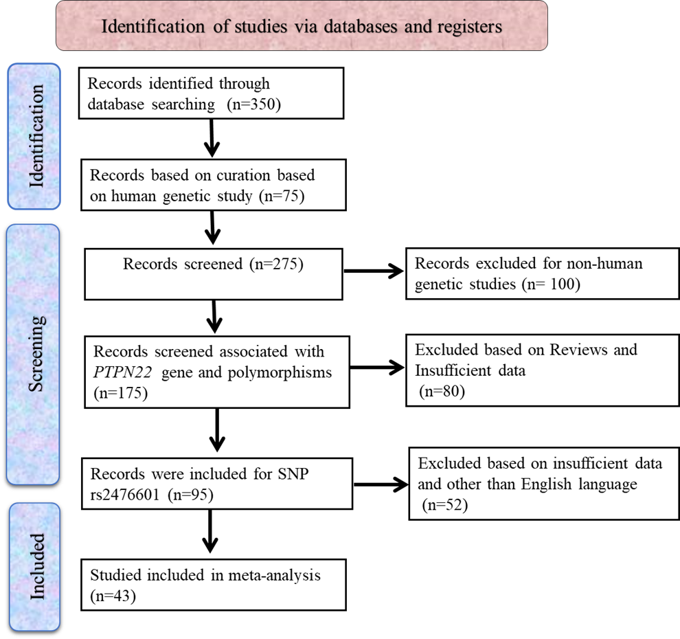 Deciphering autoimmune susceptibility: a meta-analysis of PTPN22 gene variants