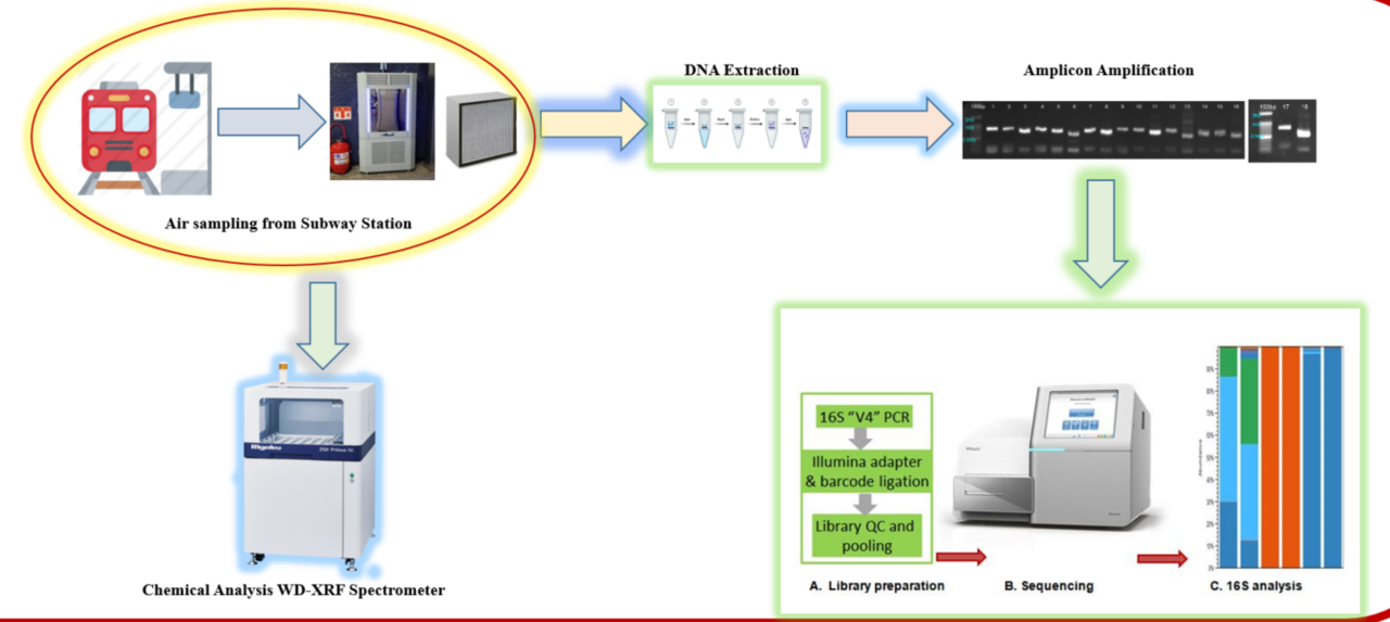 Exploring Seasonal Variations in Seoul's Underground Subway Microbiome