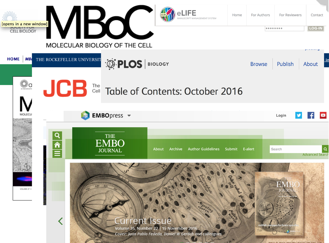 Read all about it! (a short guide to writing scientific reports and manuscripts)