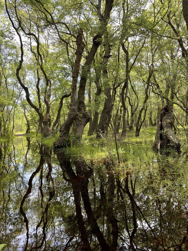 A PhD journey to assess the effectiveness of biosphere reserves worldwide