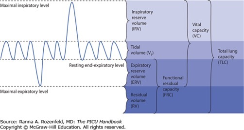 Featured New Content: The PICU Handbook