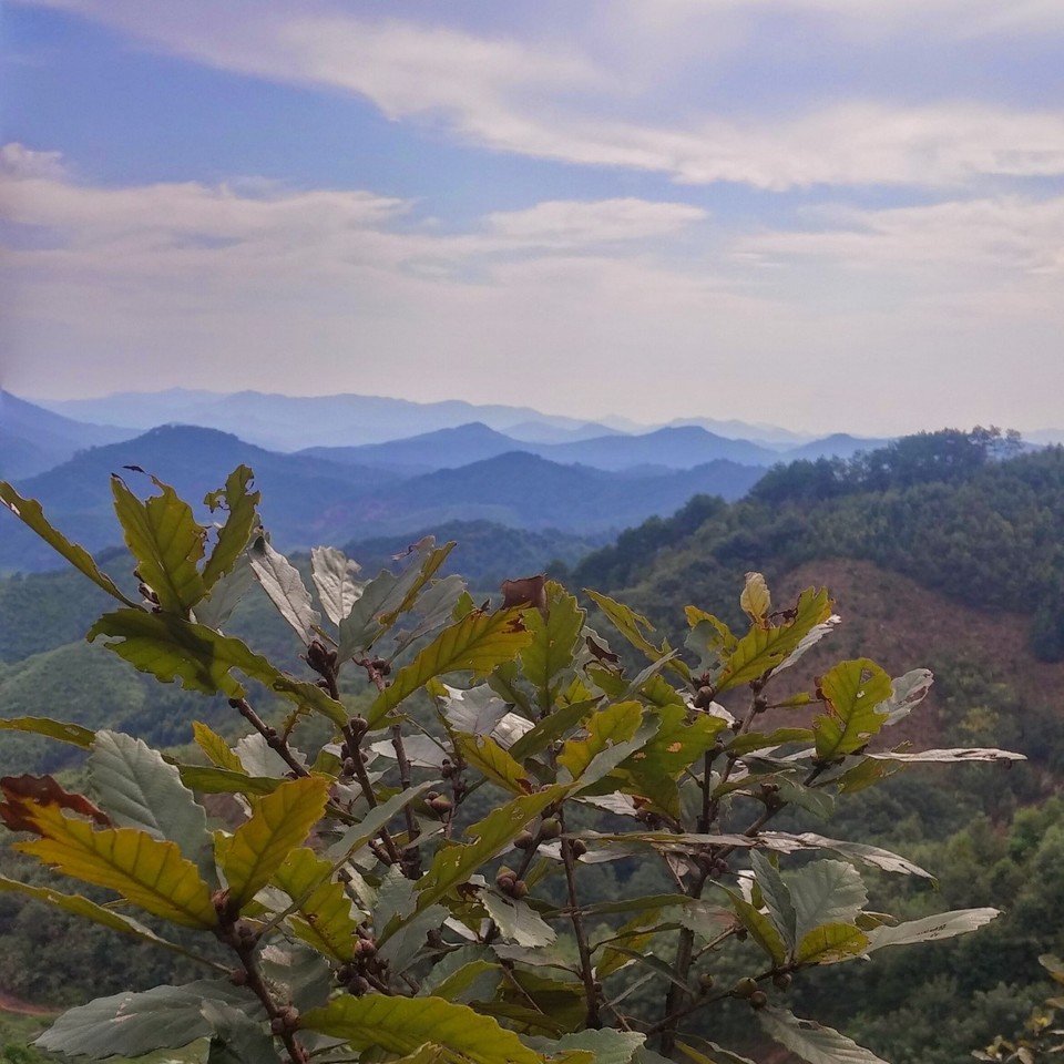 Interacting in diverse neighbourhoods 