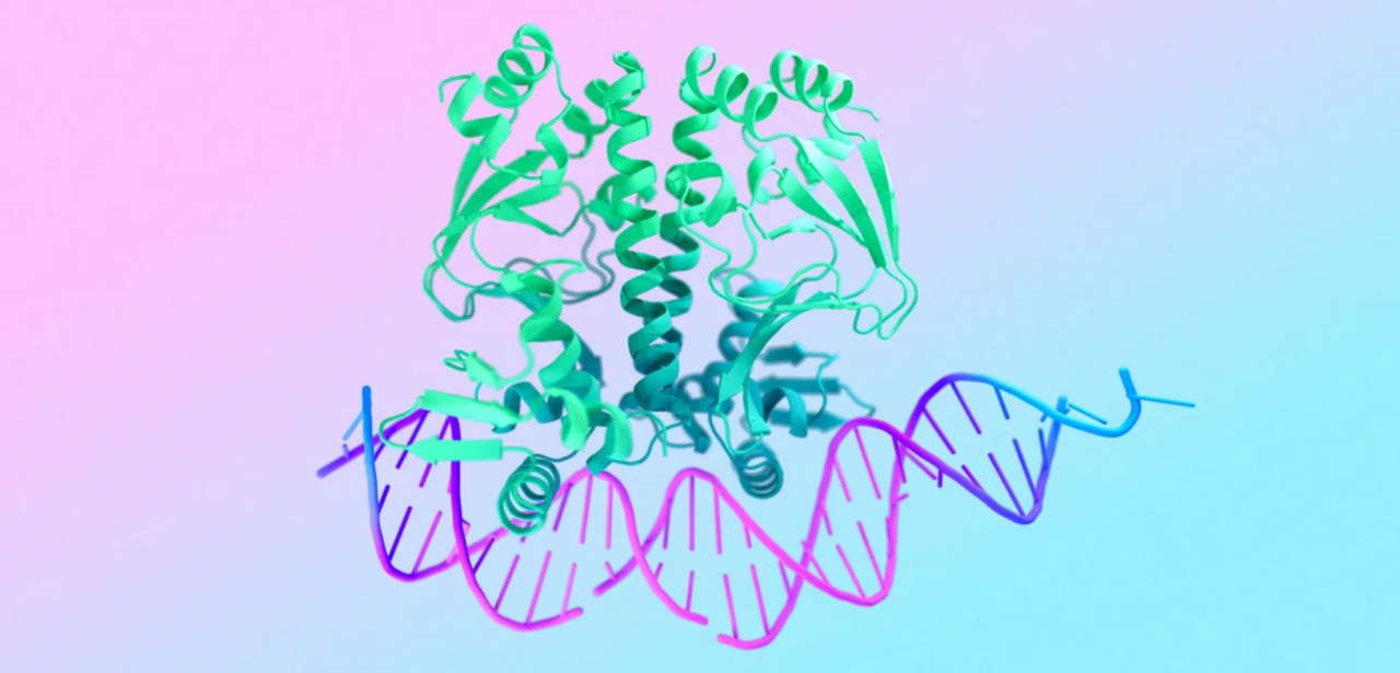 AlphaFold five years on: What this new era means for Molecular Life Sciences