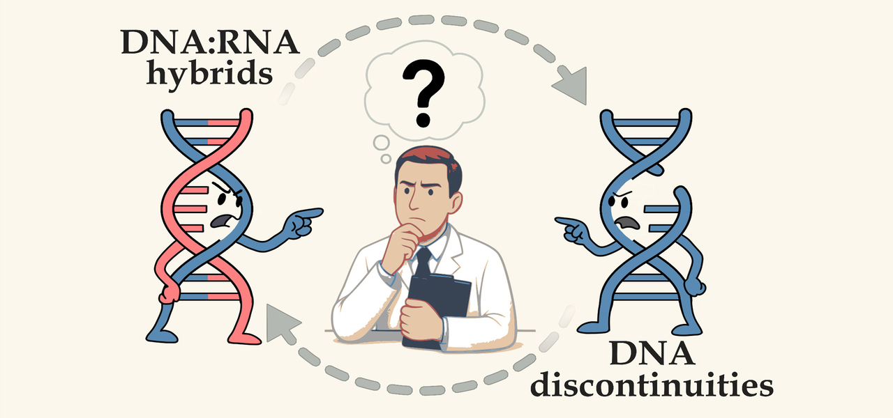 R-loops and Genetic Instability: a Chicken and Egg Problem