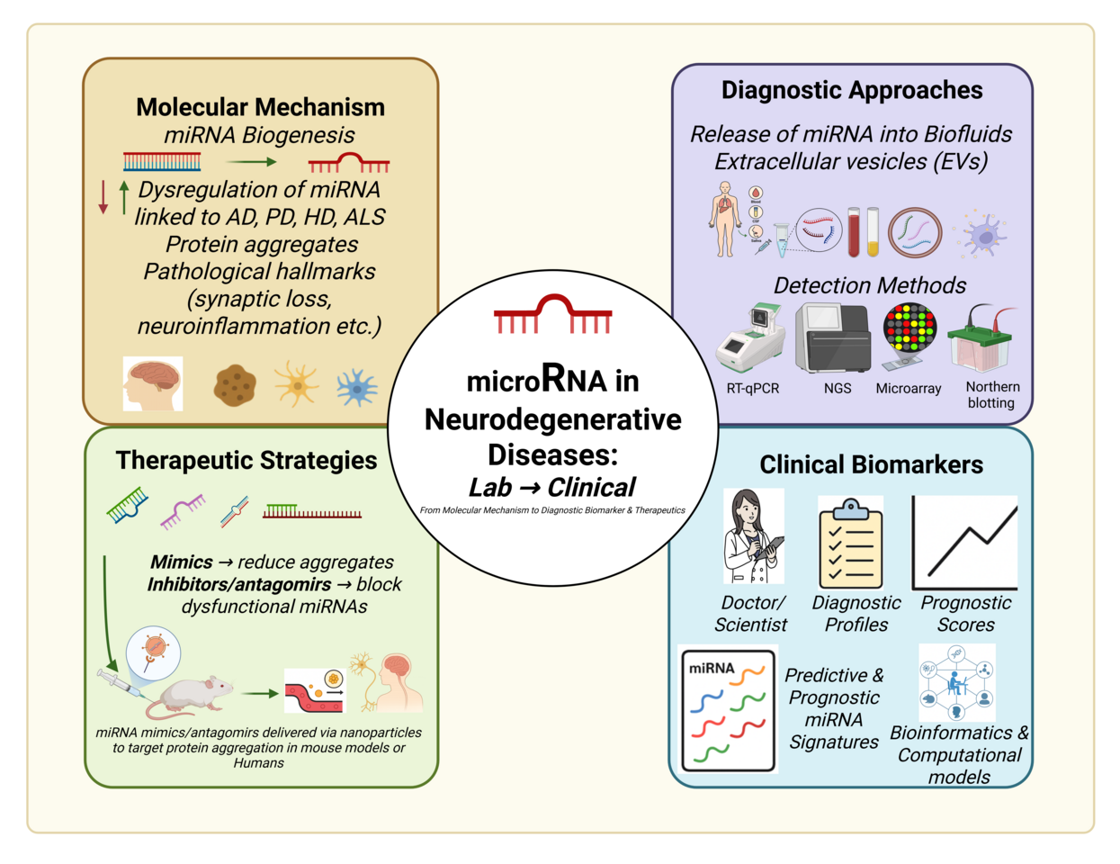 MicroRNAs in neurodegenerative diseases: from molecular mechanisms to clinical biomarkers, detection methods and therapeutic strategies—advances and challenges