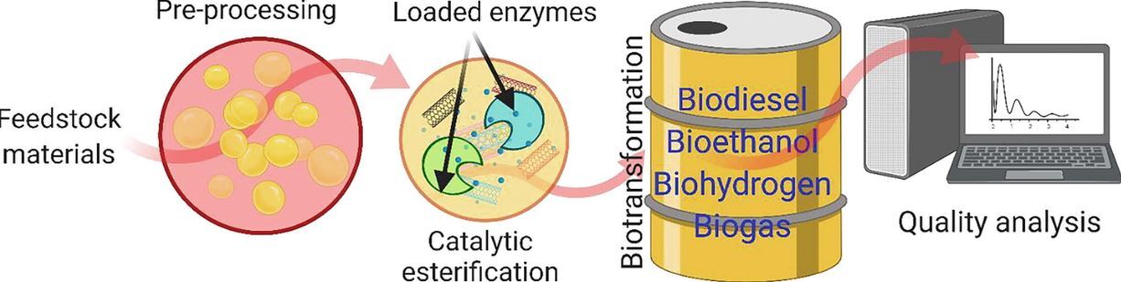 Application of nanomaterials for enhanced production of biodiesel, biooil, biogas, bioethanol, and biohydrogen via lignocellulosic biomass transformation