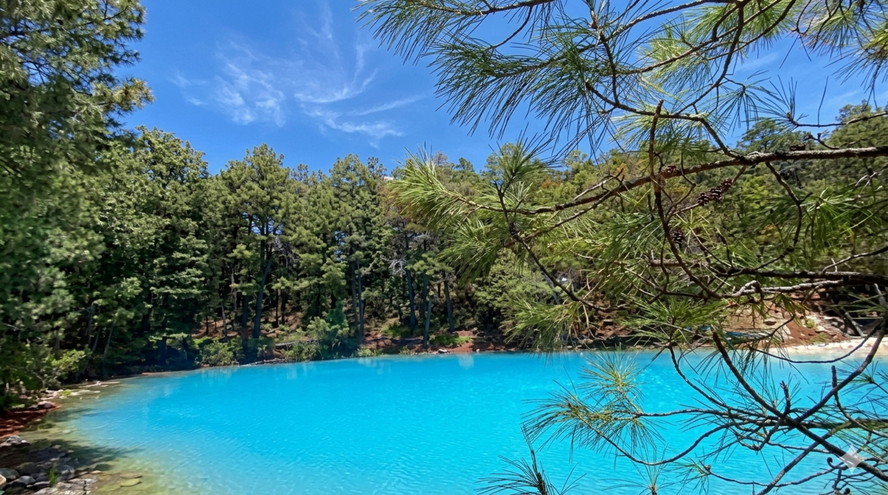 Geothermal Survivor: Bacteria from Mexican Hot Springs Holds Key to Heavy Metal Cleanup