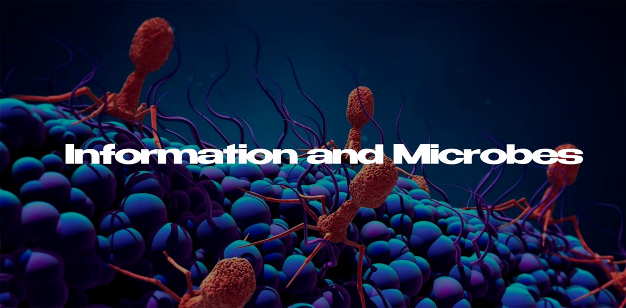 Information technologies in the therapy of various pathogens