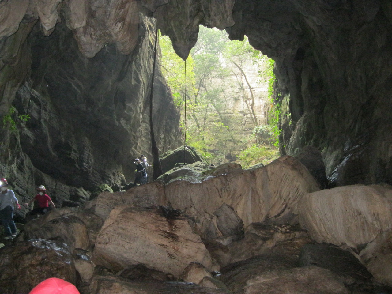Sugar, Sugar. Why cavefish develop symptoms of diabetes but are not sick. 