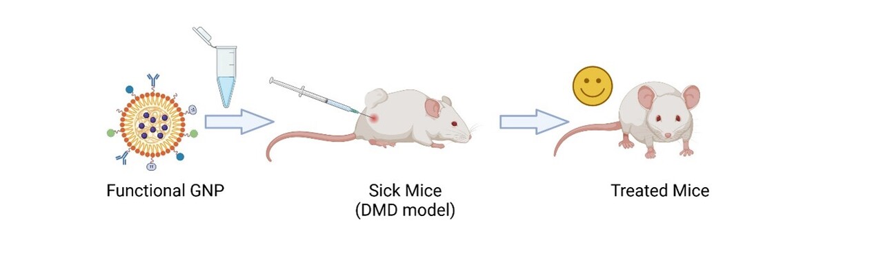 A Race Against Time: The Fight to Treat DuchenneMuscularDystrophy