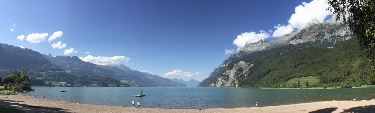 Bacterial chemosensory arrays provide cells a critical sense of smell