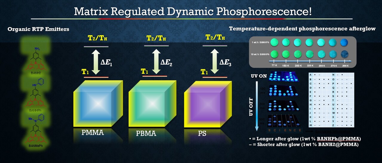 When a Polymer Becomes a Quantum Regulator: How Asymmetric Matrices Control Dynamic Phosphorescence