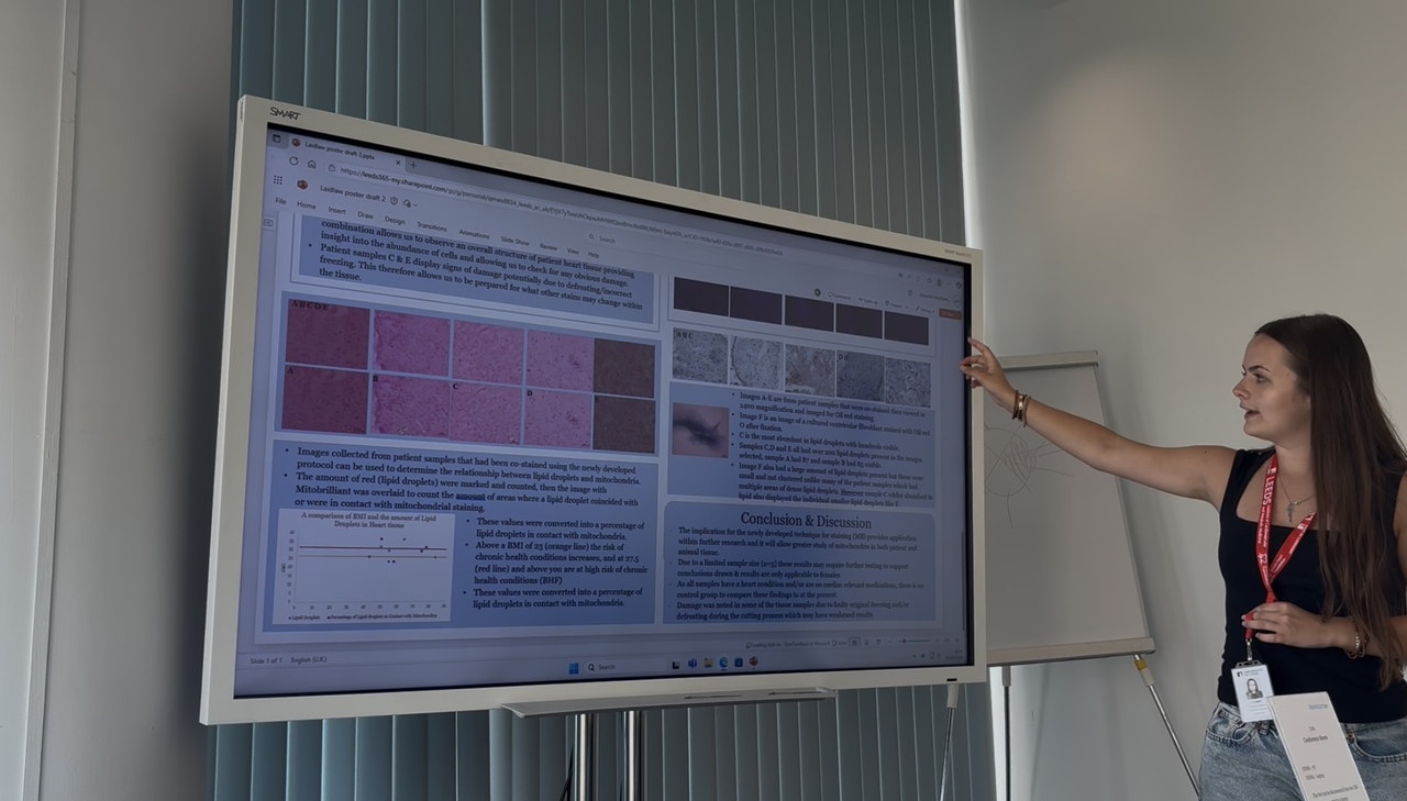 Continuing to Lead with Curiosity: My Evolving Research Journey  