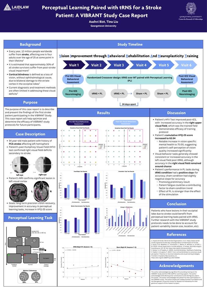 (Research Poster) Perceptual Learning Paired with tRNS for a Stroke Patient: A VIBRANT Study Case Report