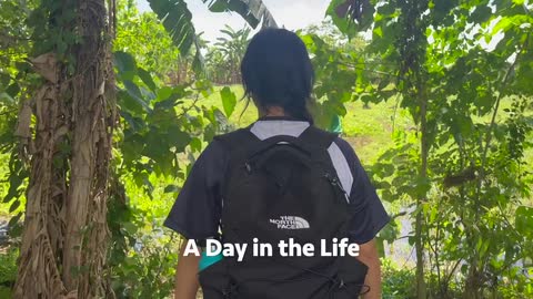 LiA Week 3 with HAND-Philippines: A Day in the Life
