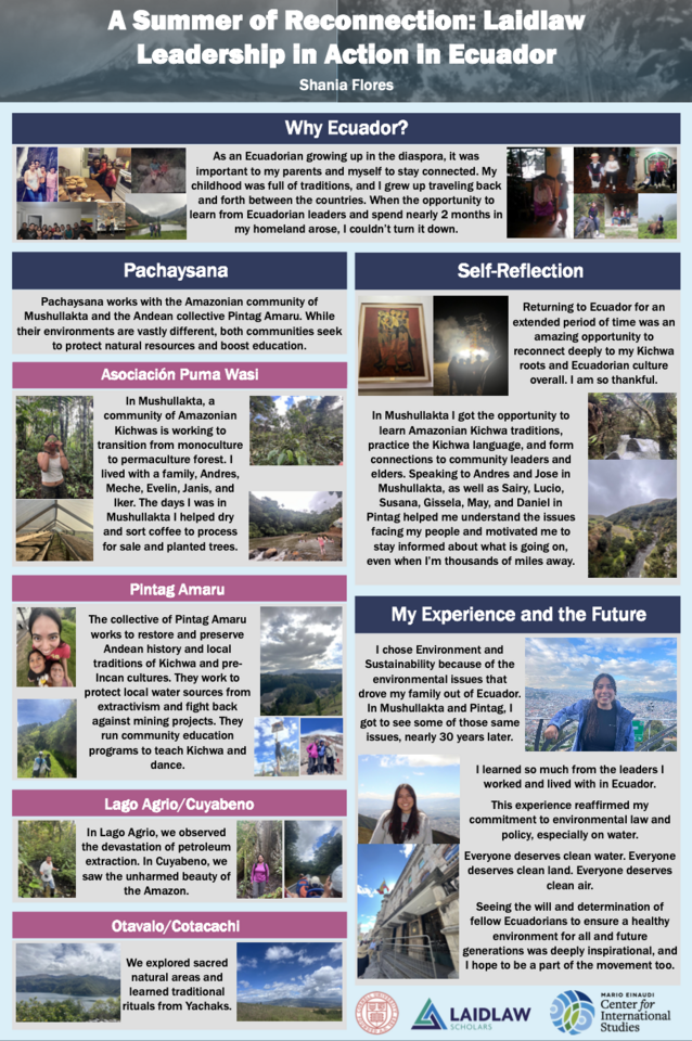 LiA Summer 2025 Presentation Poster 