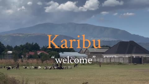Karibu, Asante, and Everything in Between | My LiA in Mbeya
