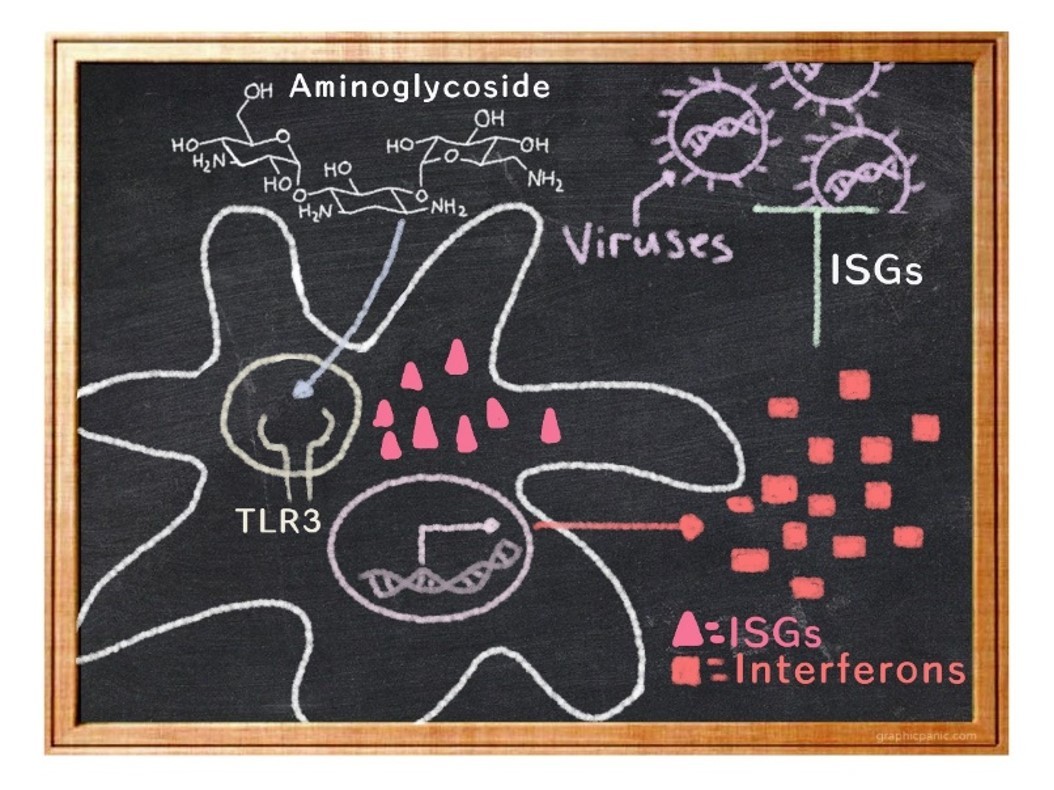 Serendipity in Science  