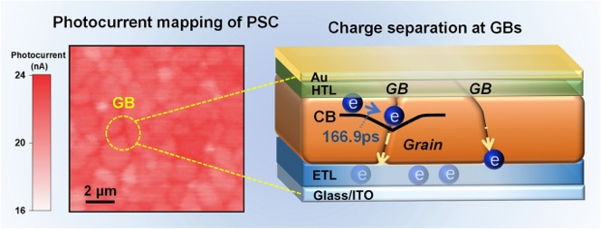 Grain Boundaries Contribute to the Performance of Perovskite Solar Cells by Promoting Charge Separations