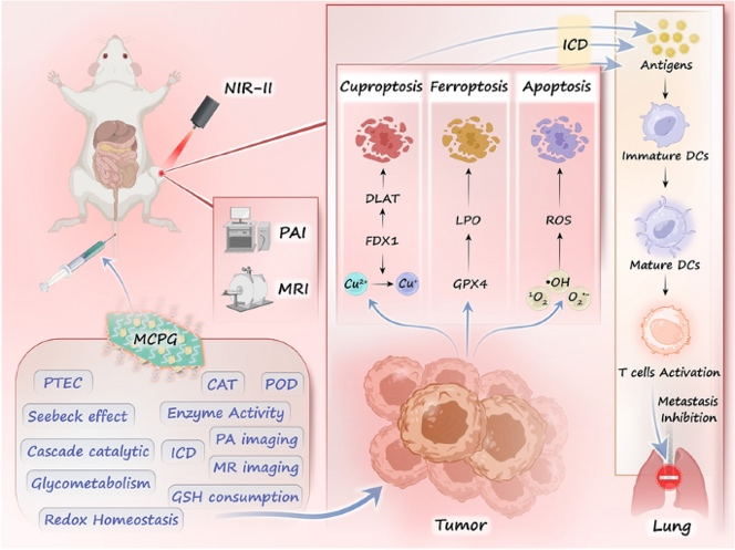 Designing a Sulfur Vacancy Redox Disruptor for Photothermoelectric and Cascade-Catalytic-Driven Cuproptosis–Ferroptosis–Apoptosis Therapy