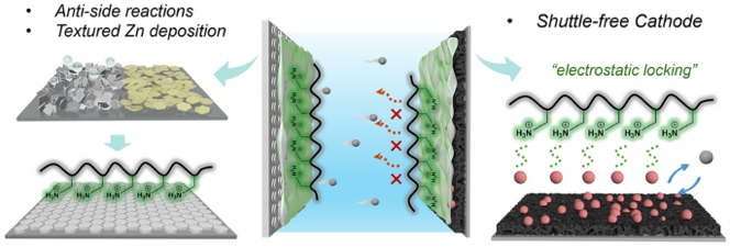 A Synchronous Strategy to Zn‑Iodine Battery by Polycationic Long‑Chain Molecules