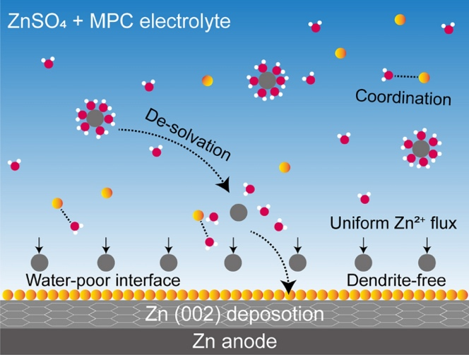 Screening Anionic Groups Within Zwitterionic Additives for Eliminating Hydrogen Evolution and Dendrites in Aqueous Zinc Ion Batteries
