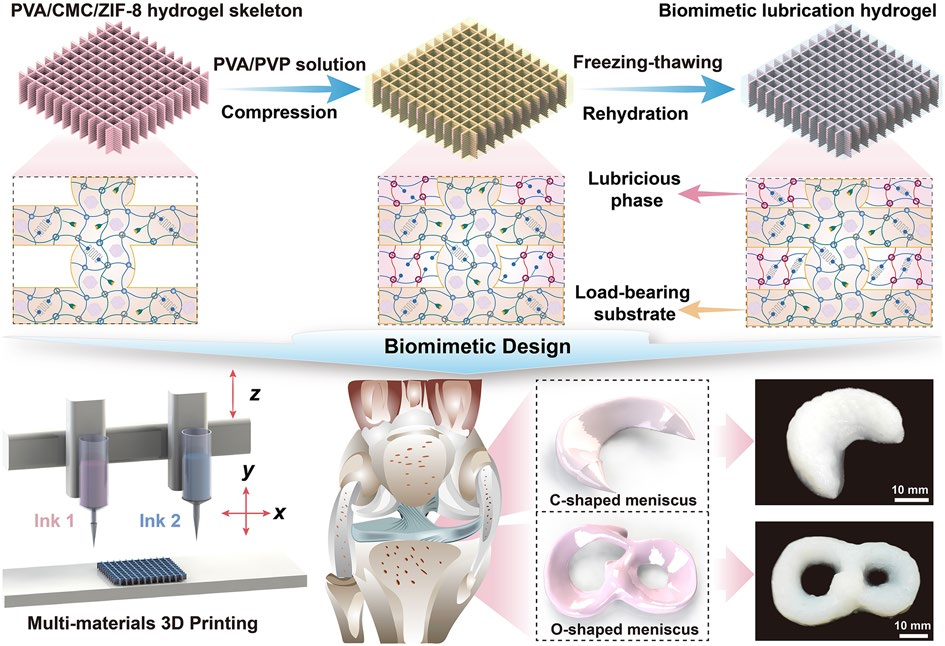 Biomimetic Gradient Lubrication Hydrogel Contrived by Self-Reinforced MOFs Nanoparticle Network