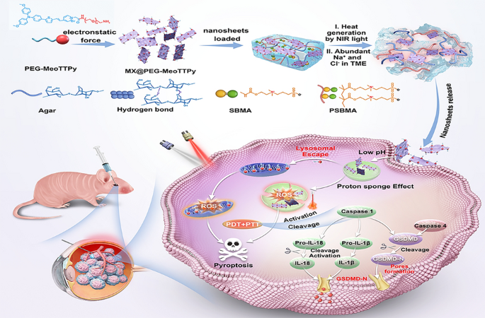 Aggregation‑Induced‑Emission Luminogens Functionalized MXene Nanosheets for Stimuli‑Responsive Hydrogel in Pyroptosis‑Mediated Choroidal Melanoma Therapy