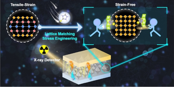 Lattice Anchoring Stabilizes α‑FAPbI3 Perovskite for High‑Performance X‑Ray Detectors