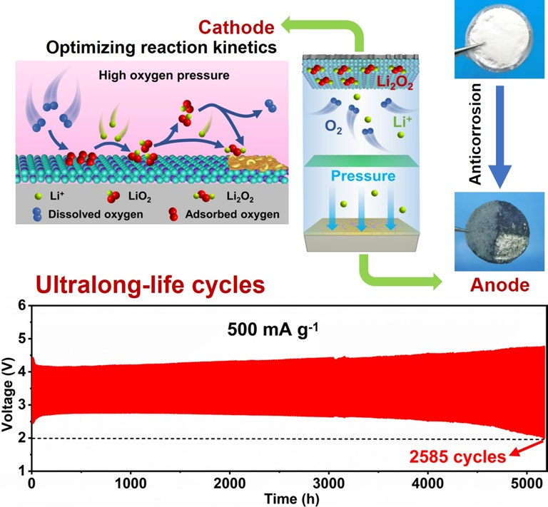 Oxygen-Pressure Protocol Breaking Cycle Limit of Continuously Reversible Lithium-Oxygen Batteries