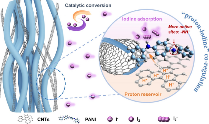 “Proton‑Iodine” Regulation of Protonated Polyaniline Catalyst for High‑Performance Electrolytic Zn‑I2 Batteries