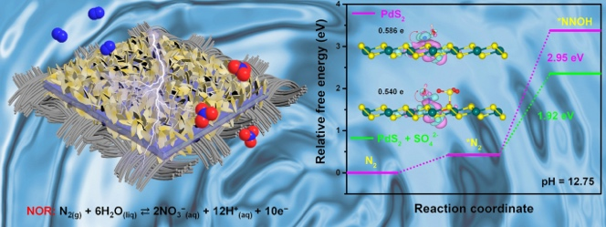 In Situ Generated Sulfate-Facilitated Efficient Nitrate Electrosynthesis on 2D PdS2 with Unique Imitating Growth Feature