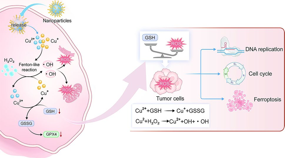 Copper-Based Targeted Nanocatalytic Therapeutics for Non-Small Cell Lung Cancer