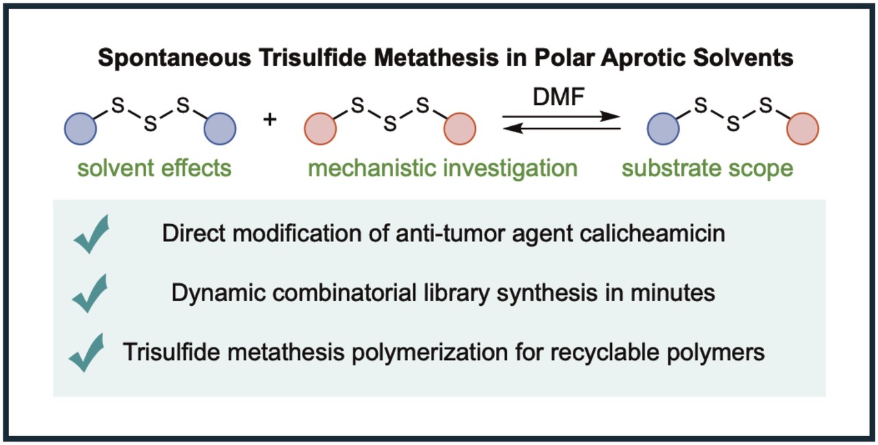 Unusual Trisulfide Chemistry