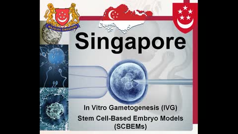 Public Consultation on In Vitro Gametogenesis (IVG) and Stem Cell-Based Embryo Models (SCBEMs) by the Bioethics Advisory Committee (BAC) of Singapore is Needed