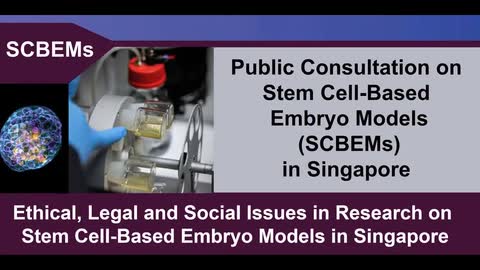 Public Consultation on Human Stem Cell-Based Embryo Models (SCBEMs) and Synthetic Embryos should be conducted by the Bioethics Advisory Committee (BAC) of Singapore