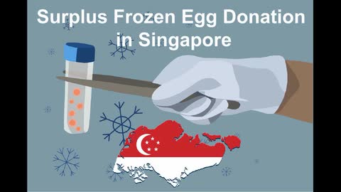 Regulating Unused Surplus Frozen Egg Donation in Singapore