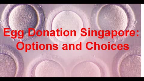 Egg Donation Singapore - Options and Choices