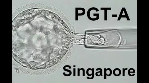 PGT-A Singapore - Preimplantation Genetic Testing Aneuploidy