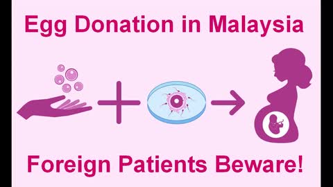 Egg Donation Malaysia - Exploitation of Foreign Patients